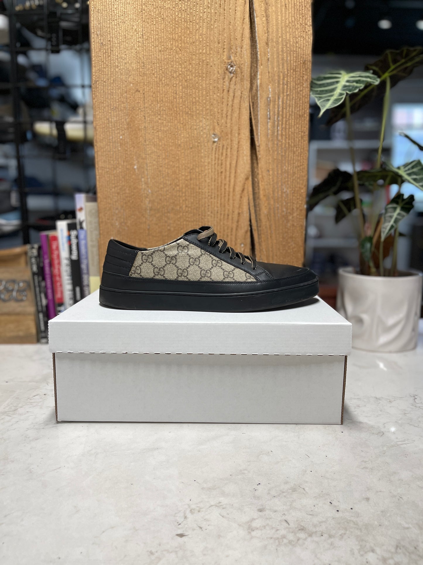 Black Gucci Sneakers Low (Size 11)